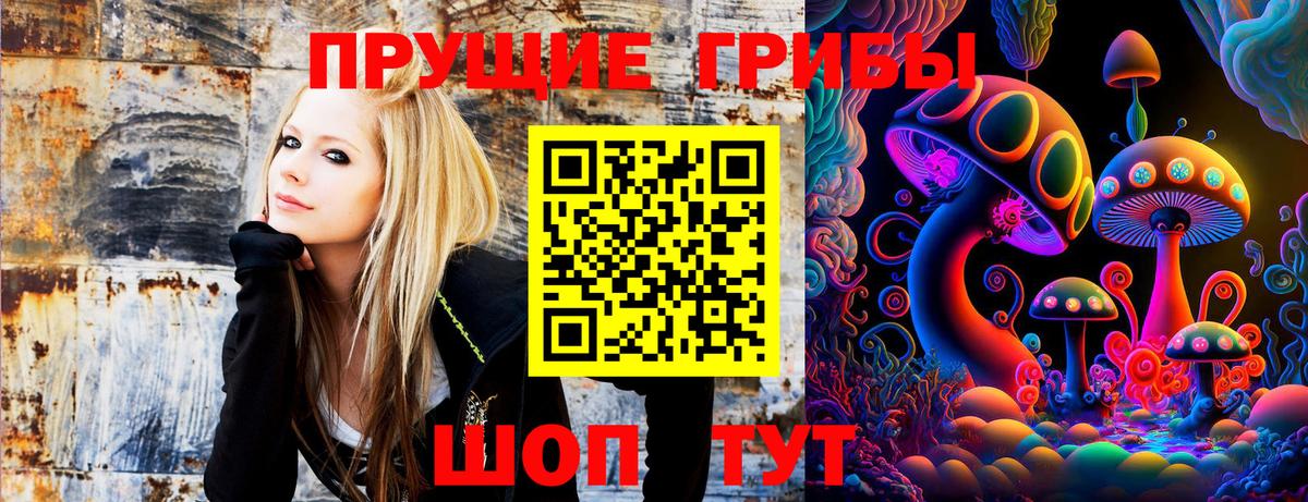 Галлюциногенные грибы прущие грибы Сердобск